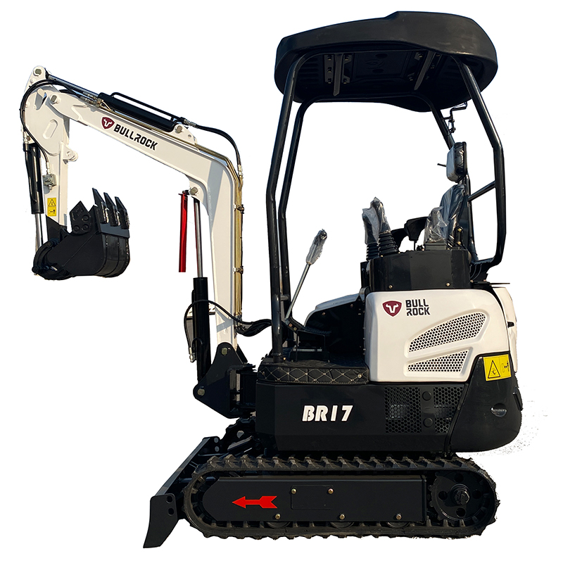 Mini Excavadora